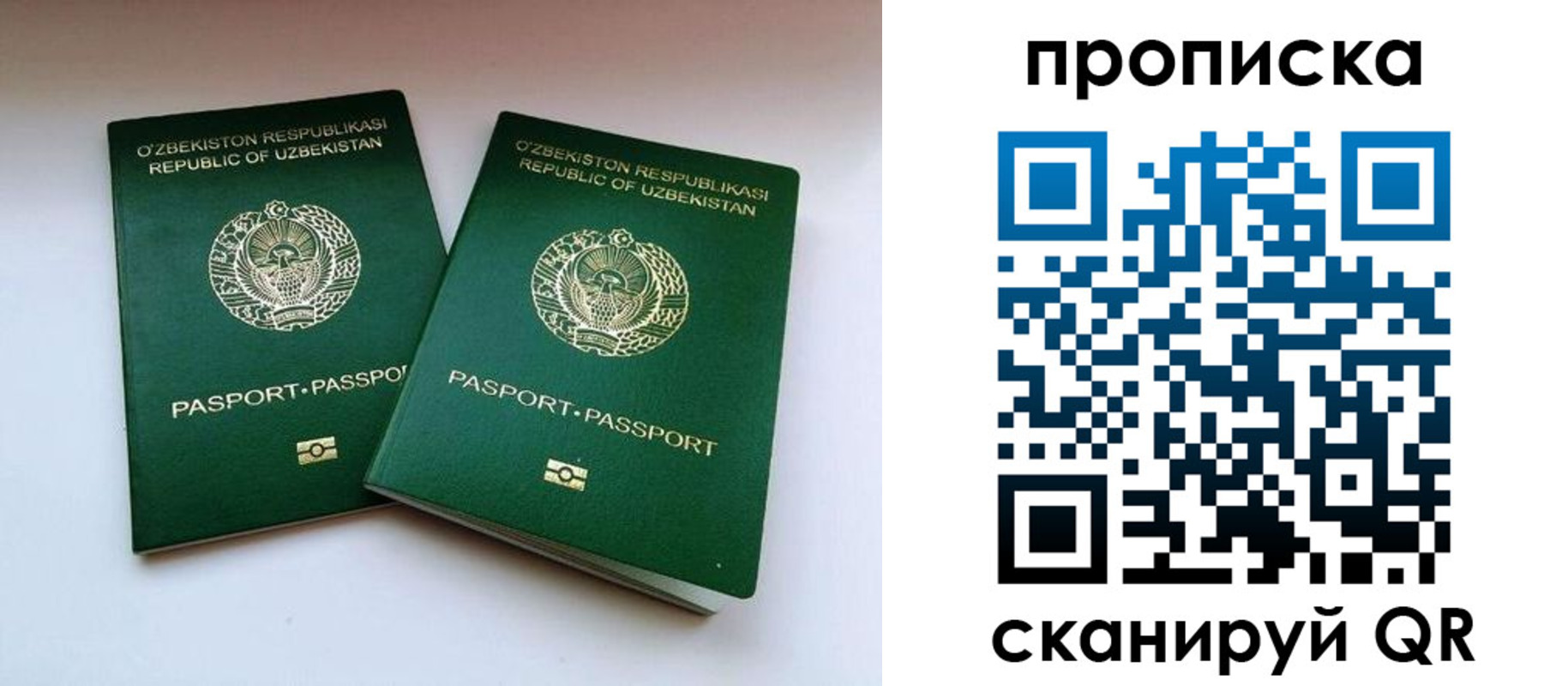 прописка поиск в Ингушетии